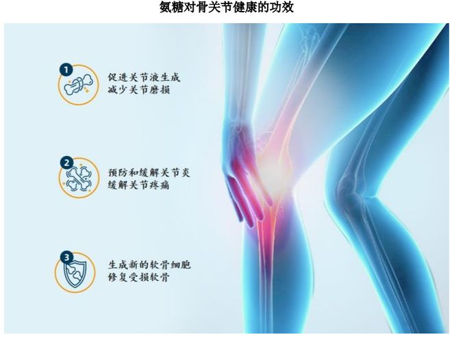 ：扎根运动健康赛道凭多元布局赢长远未来澳门新葡京网站HMB全球龙头技源集团(图8)