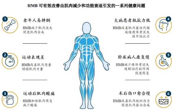 ：扎根运动健康赛道凭多元布局赢长远未来澳门新葡京网站HMB全球龙头技源集团(图7)