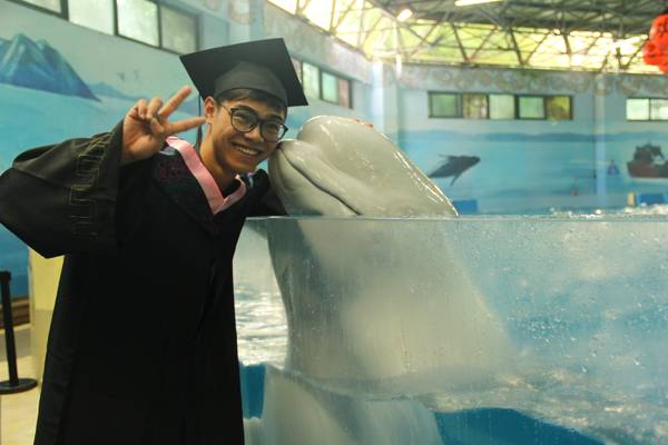 国N多景点！除了云南三亚宁夏还有……新葡