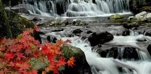 国N多景点！除了云南三亚宁夏还有……新葡京海盐高考生凭准考证可免费游全(图3)