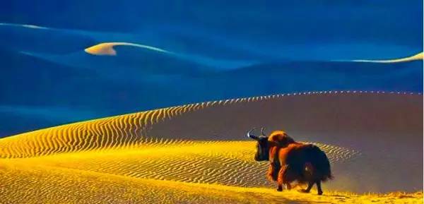 国N多景点！除了云南三亚宁夏还有……新葡京海盐高考生凭准考证可免费游全(图5)