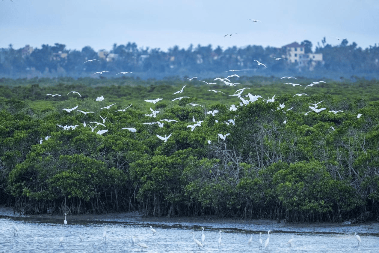 南玩海N种可能!定制你的专属海岛时光澳门新葡京网站10大主题线路解锁海(图4) 南玩海N种可能!定制你的专属海岛时光澳门新葡京网站10大主题线路解锁海(图4)